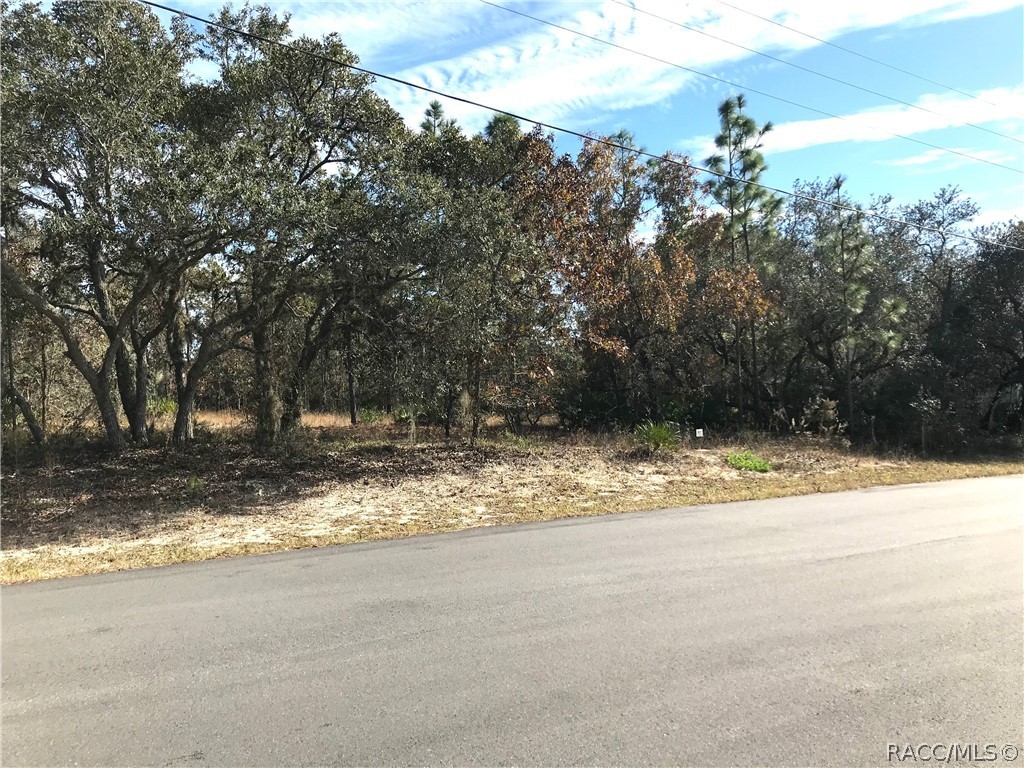 222 Linder Drive, Homosassa, Florida image 6