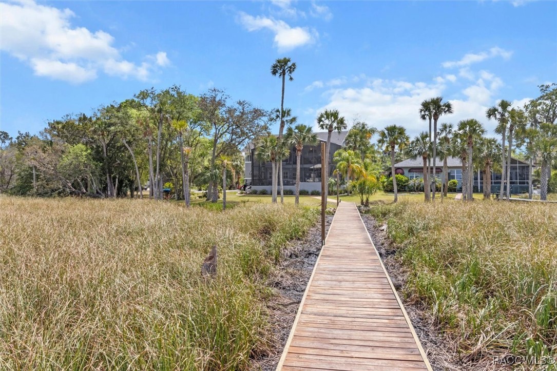 11927 W Timberlane Drive, Homosassa, Florida image 44