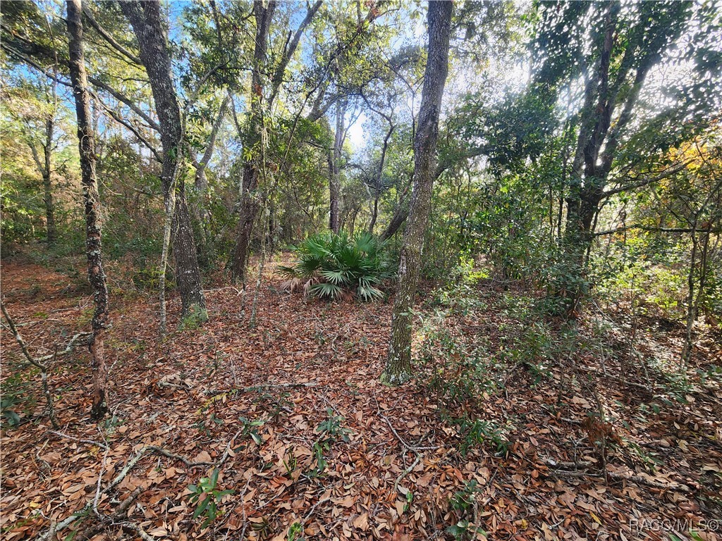 2176 W Conway Drive, Dunnellon, Florida image 8