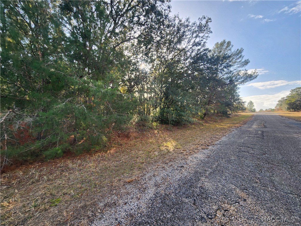 2176 W Conway Drive, Dunnellon, Florida image 3