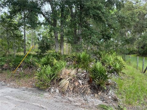 Vacant Land For Sale - 00 SW 103rd Court<br/> Cedar Key, FL 32625