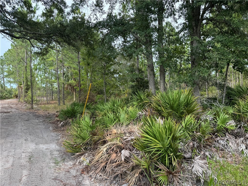 00 SW 103rd Court, Cedar Key, Florida image 7