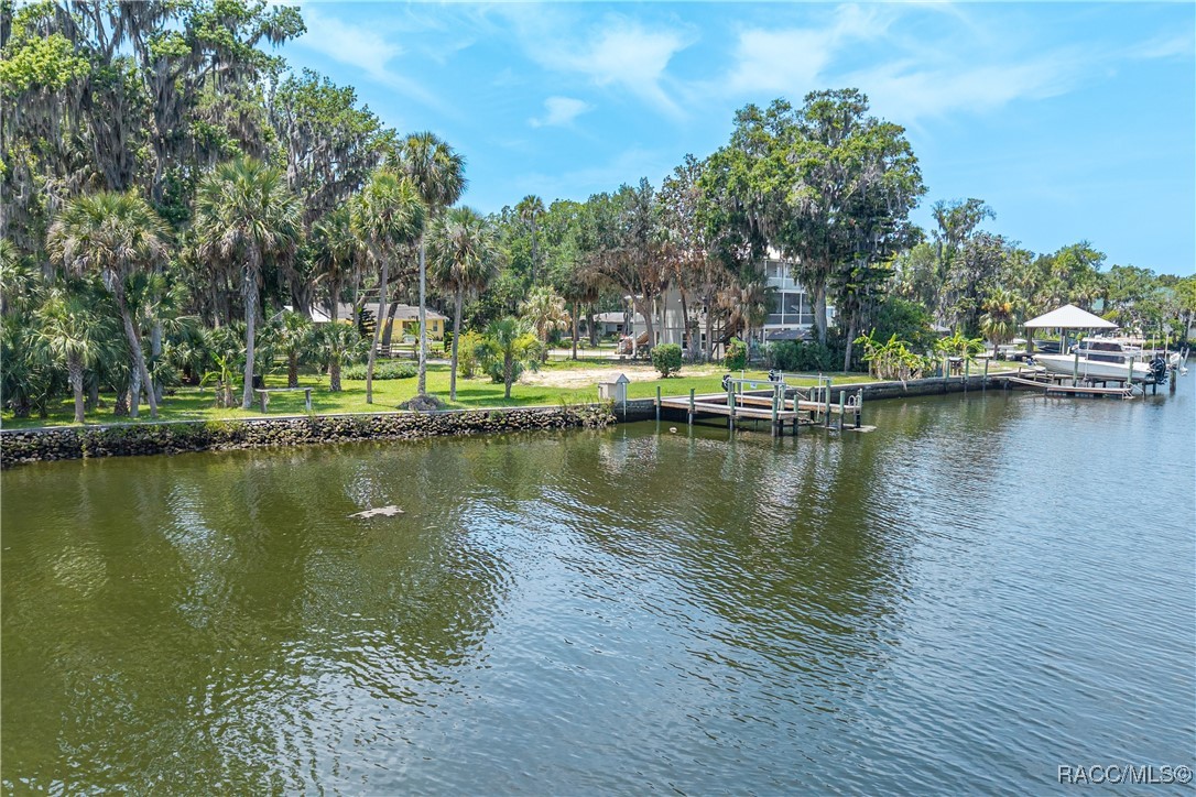 381 NW Magnolia Circle, Crystal River, Florida image 25