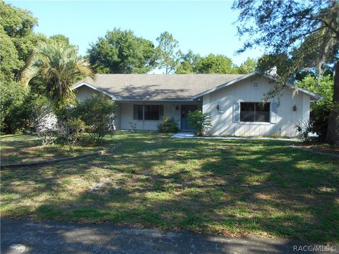 A home in Homosassa