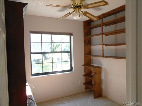 A home in Homosassa
