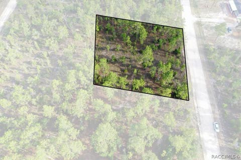 Vacant Land For Sale - 0000 NE 131st Lot 8 Terrace<br/> Levy County, Williston, FL 32696