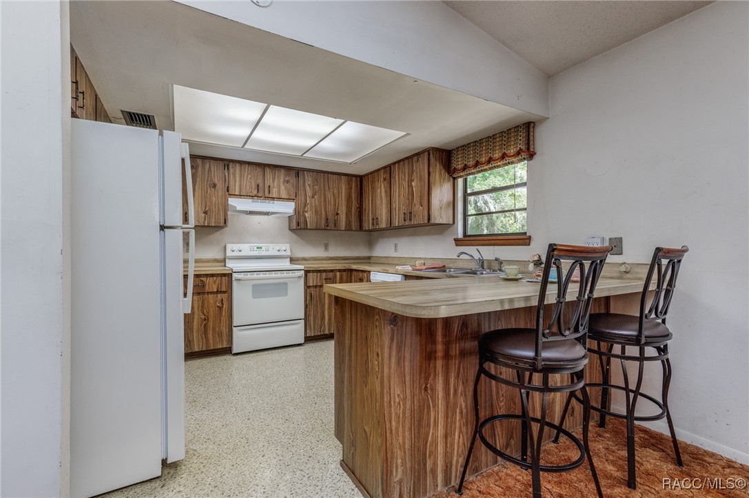 10169 W Tom Mason Drive, Crystal River, New York image 7