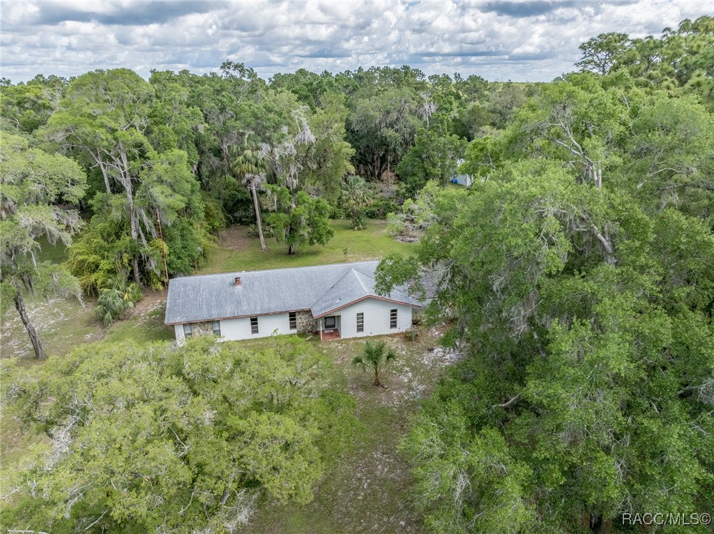 10169 W Tom Mason Drive, Crystal River, New York image 30