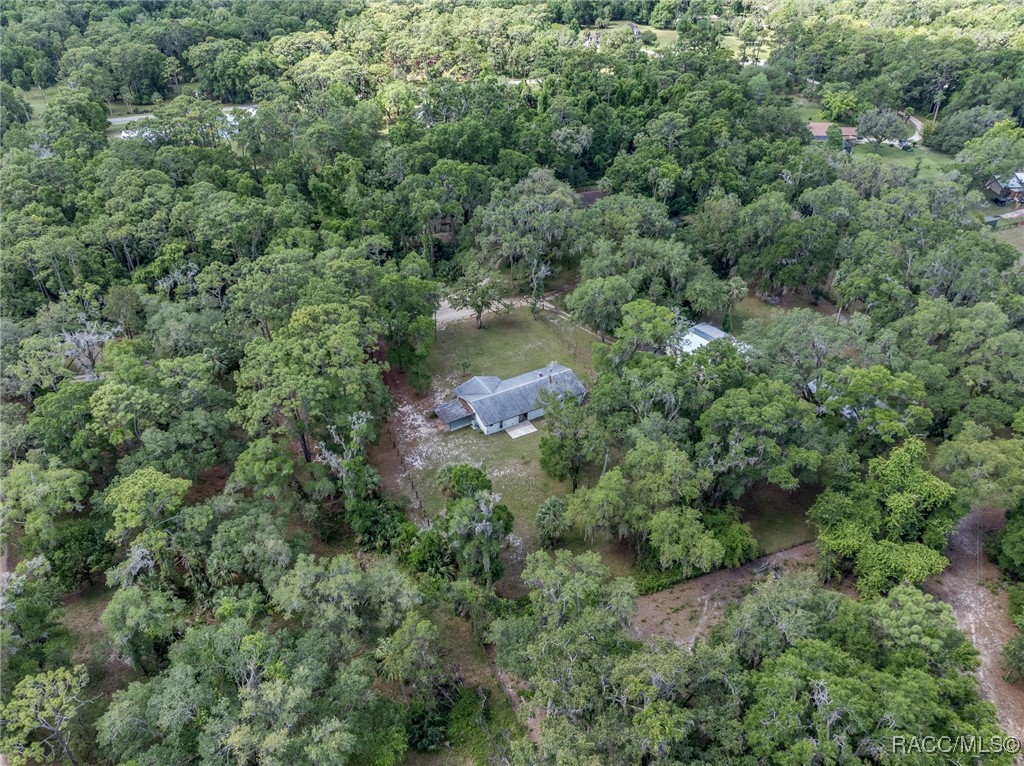 10169 W Tom Mason Drive, Crystal River, New York image 33