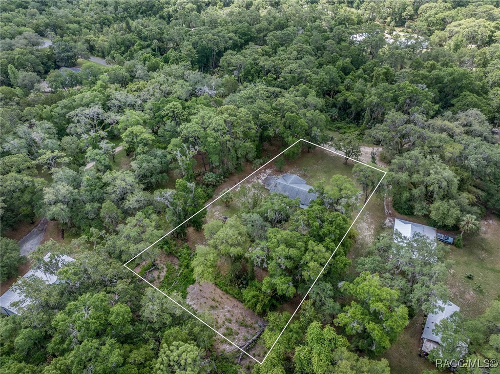 10169 W Tom Mason Drive, Crystal River, New York image 31