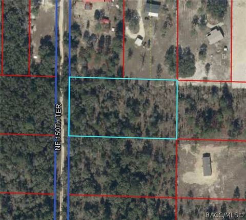 Vacant Land For Sale - TBD NE 150th Terrace<br/> Williston, FL 32696