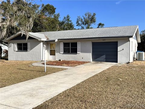 A home in Spring Hill