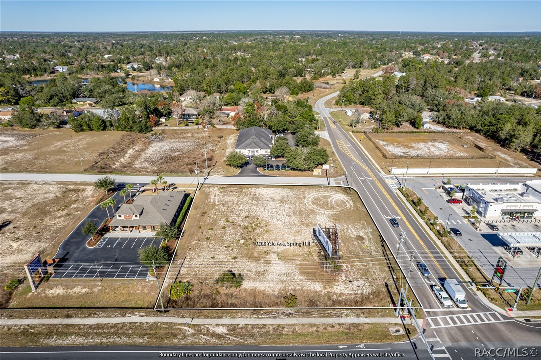 10288 Lot 8 Yale Avenue, Weeki Wachee, Florida image 1