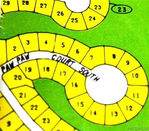 Vacant Land For Sale - 10 Pawpaw Court<br/> Homosassa, FL 34446