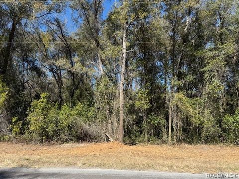 Homes For Sale - 3667 E Orchid Street<br/> Hernando, FL 34442