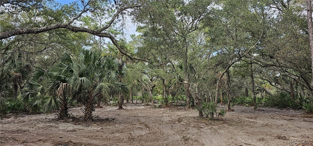 10805 W Dunnellon Road, Crystal River, Florida image 10