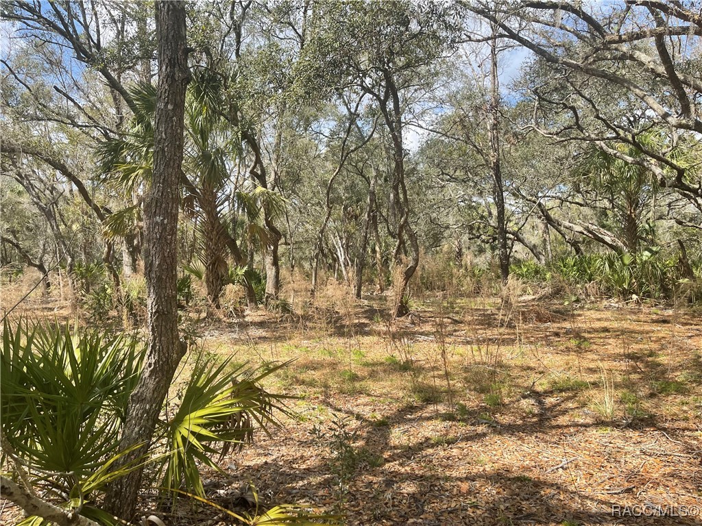 10805 W Dunnellon Road, Crystal River, Florida image 1