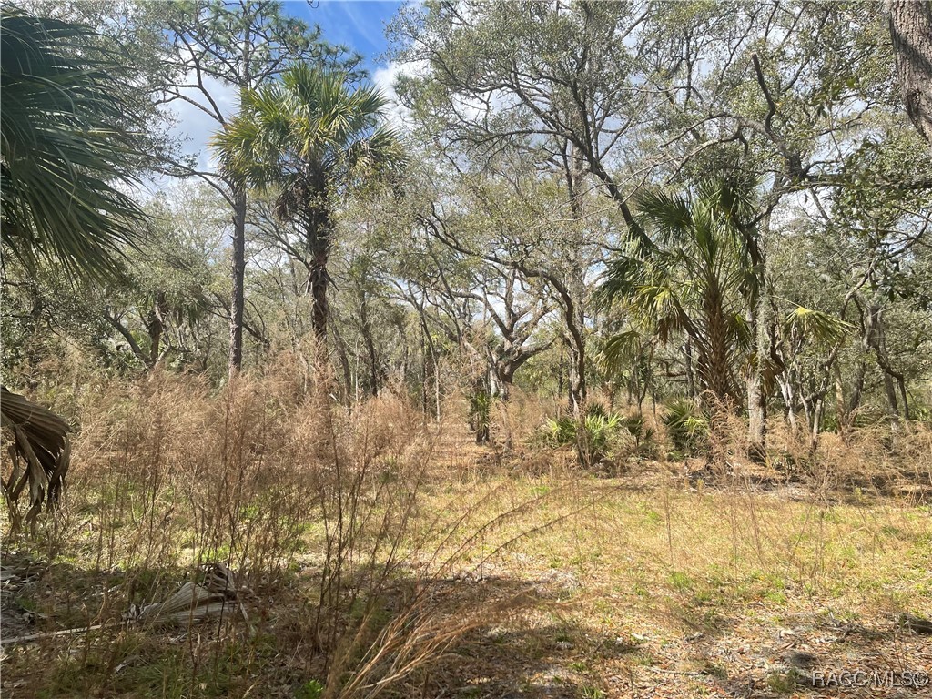 10805 W Dunnellon Road, Crystal River, Florida image 7