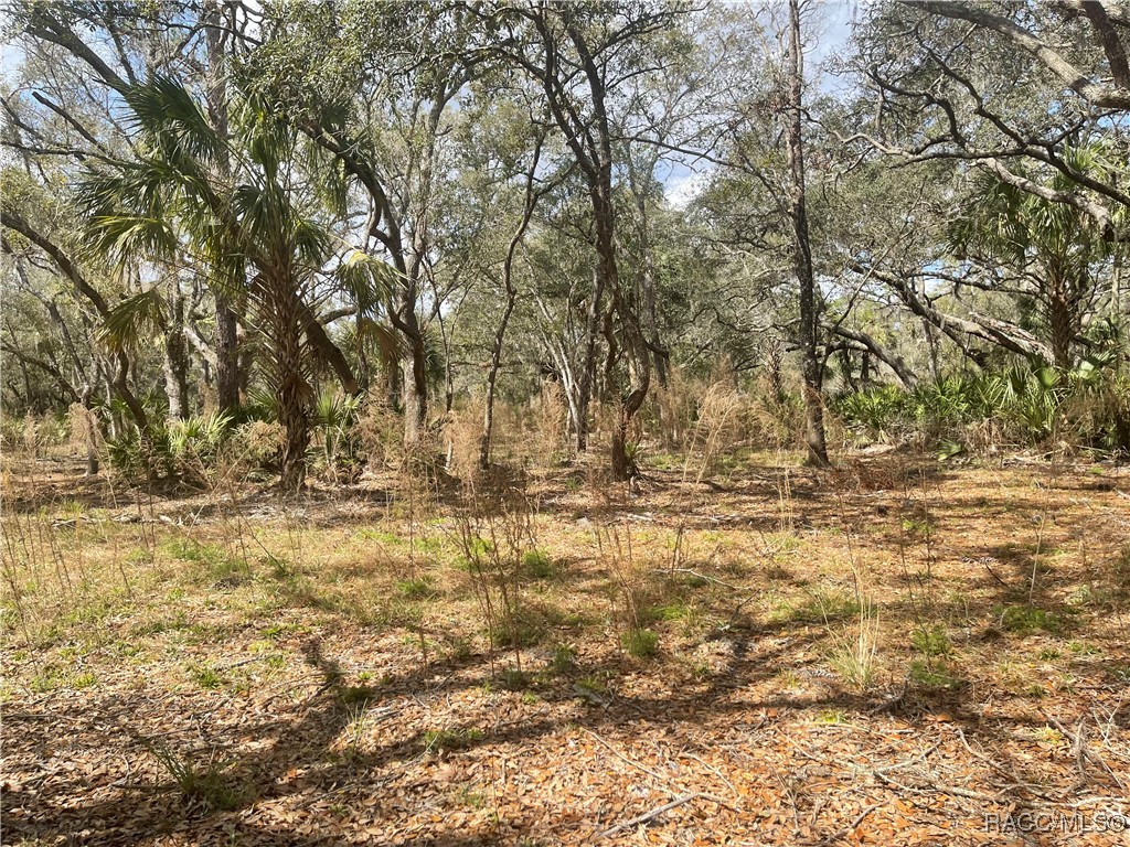 10805 W Dunnellon Road, Crystal River, Florida image 6