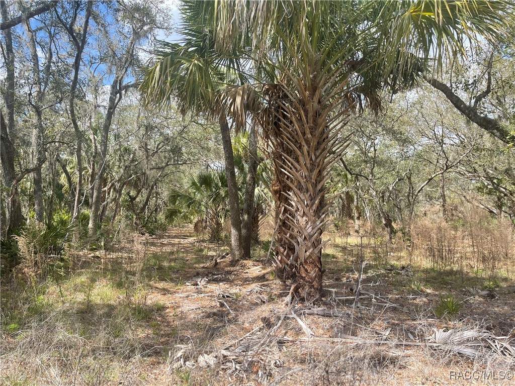 10805 W Dunnellon Road, Crystal River, Florida image 5