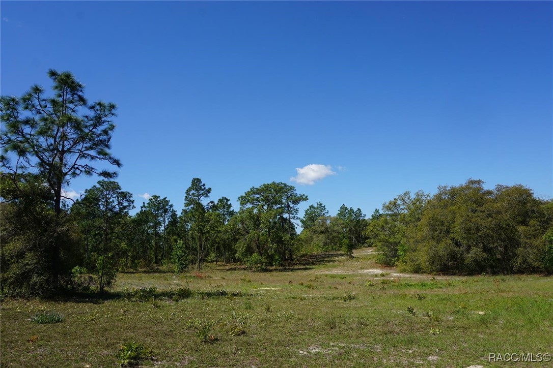 10263 N Brooks Terrace, Dunnellon, Florida image 3