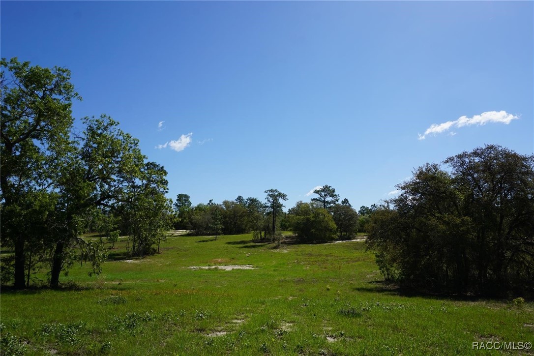 10263 N Brooks Terrace, Dunnellon, Florida image 1
