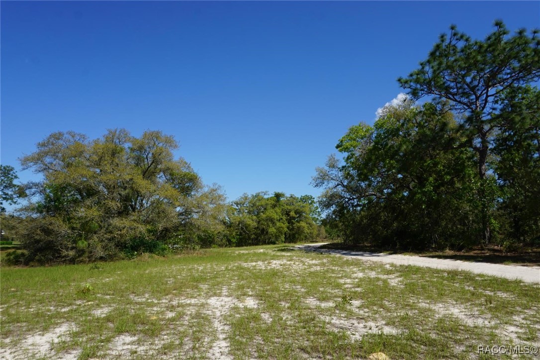 10263 N Brooks Terrace, Dunnellon, Florida image 7