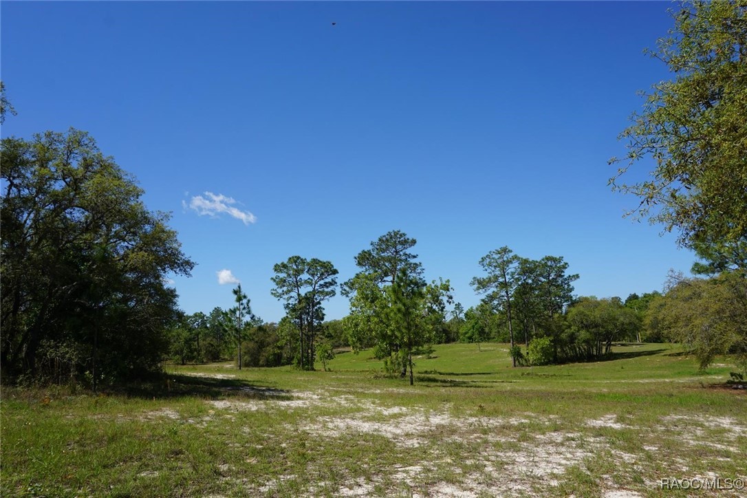 10263 N Brooks Terrace, Dunnellon, Florida image 9