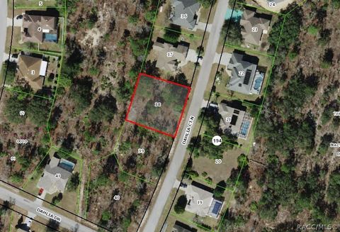 Vacant Land For Sale - 5 Dahlia Court<br/> Homosassa, FL 34446
