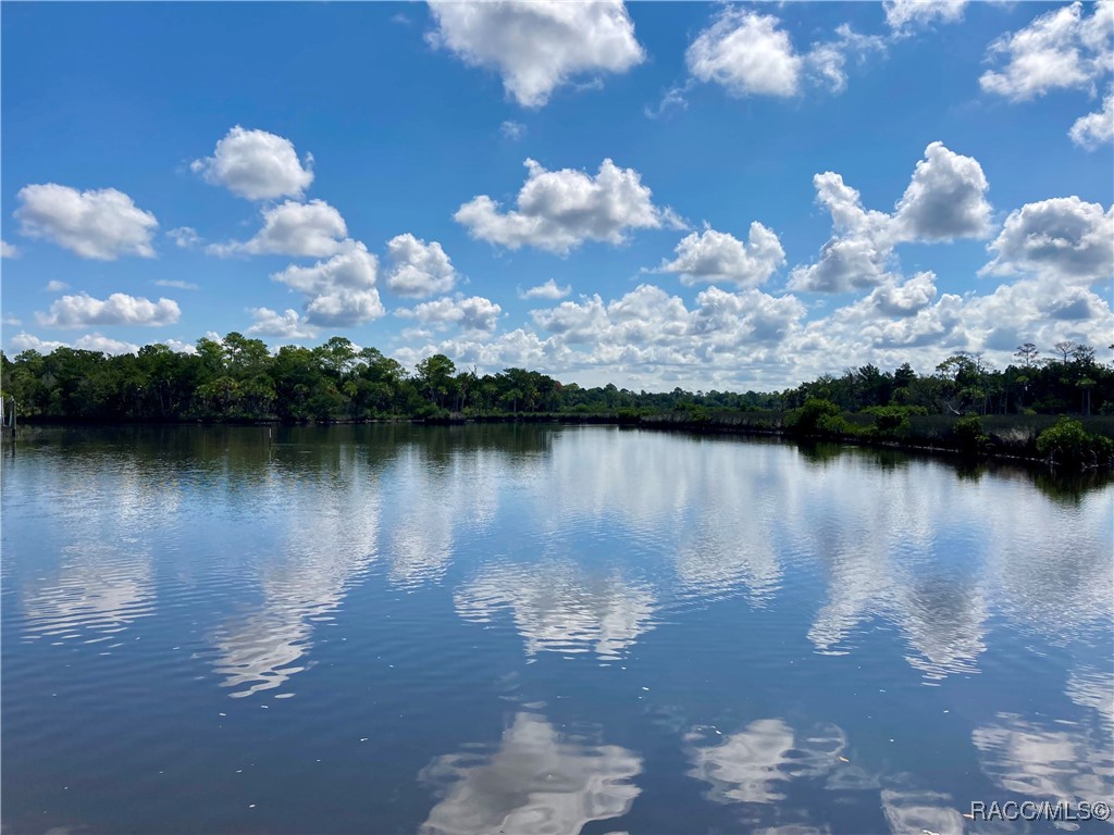 11456 W Bayshore Drive, Crystal River, Florida image 6