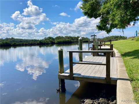 A home in Crystal River