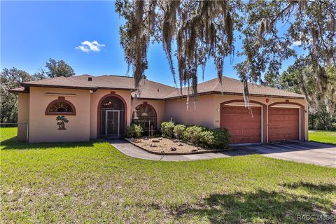 3401 N BONNIE Point Hernando FL 34442