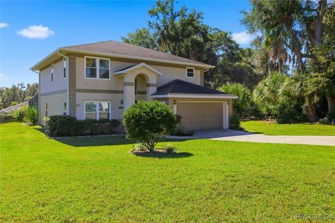4482 E Avocet Court Inverness FL 34453
