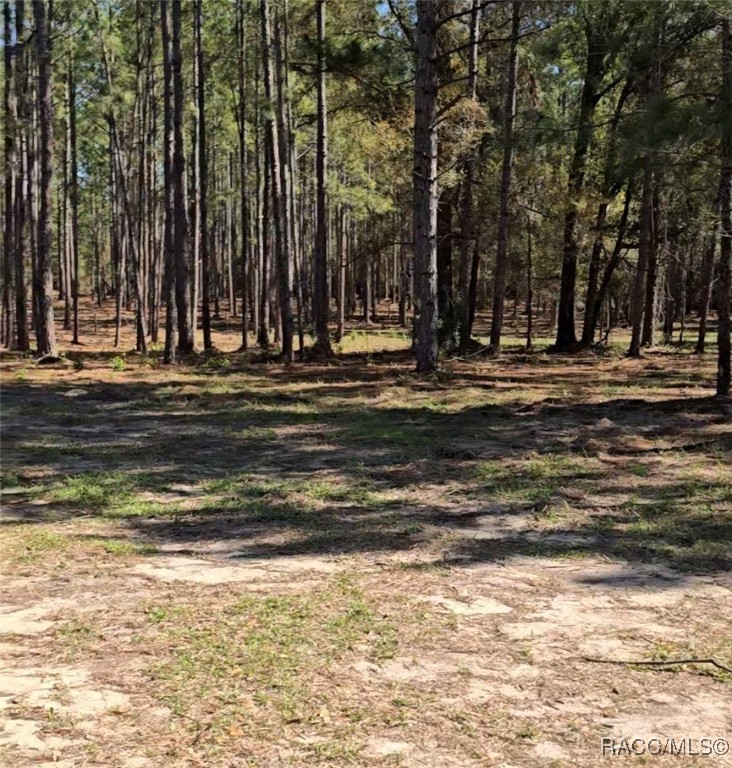 10500 S Lecanto Highway, Lecanto, Florida image 3