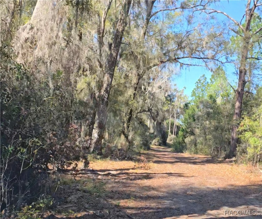 10500 S Lecanto Highway, Lecanto, Florida image 4