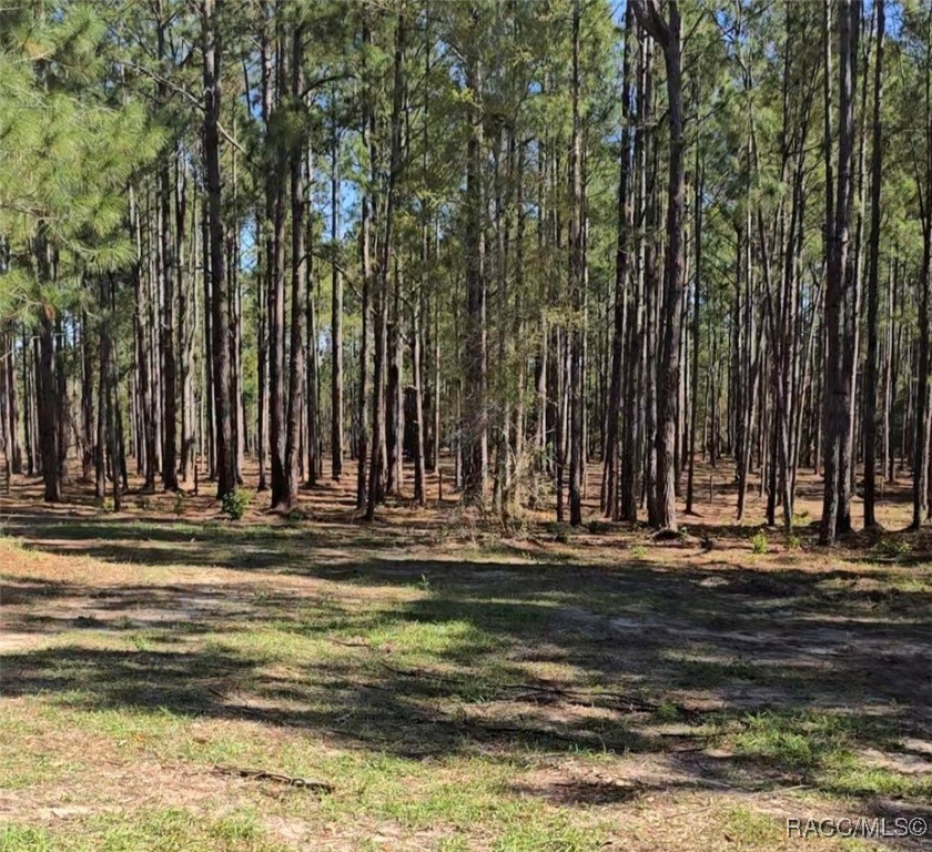 10500 S Lecanto Highway, Lecanto, Florida image 1
