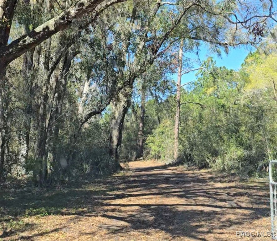 10500 S Lecanto Highway, Lecanto, Florida image 2
