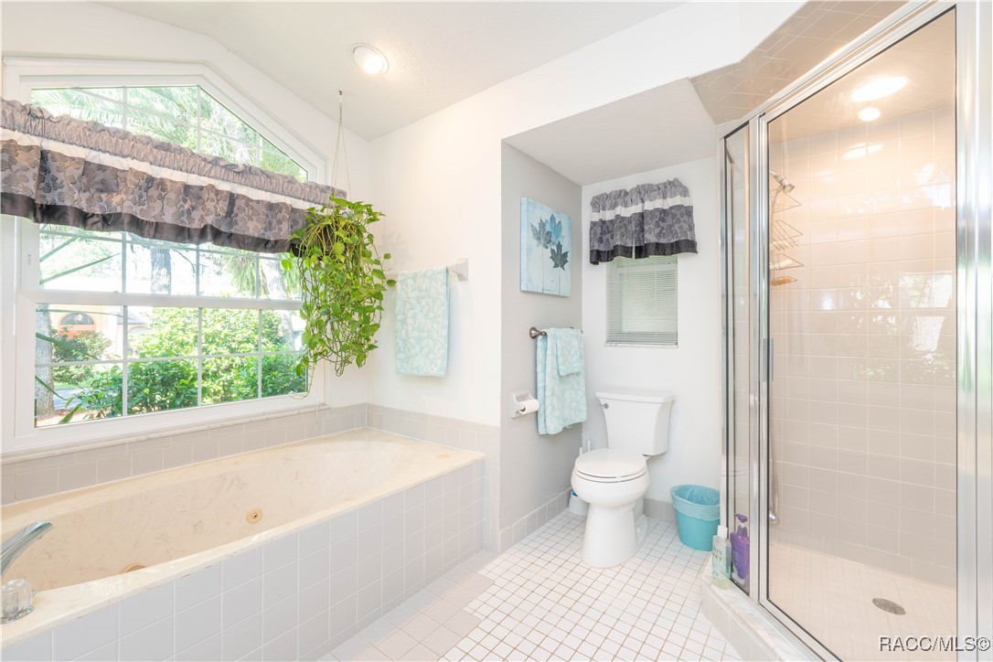 41 Pine Drive, Homosassa, Florida image 23