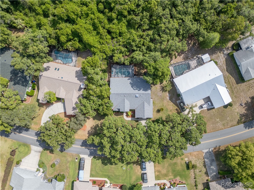 41 Pine Drive, Homosassa, Florida image 41