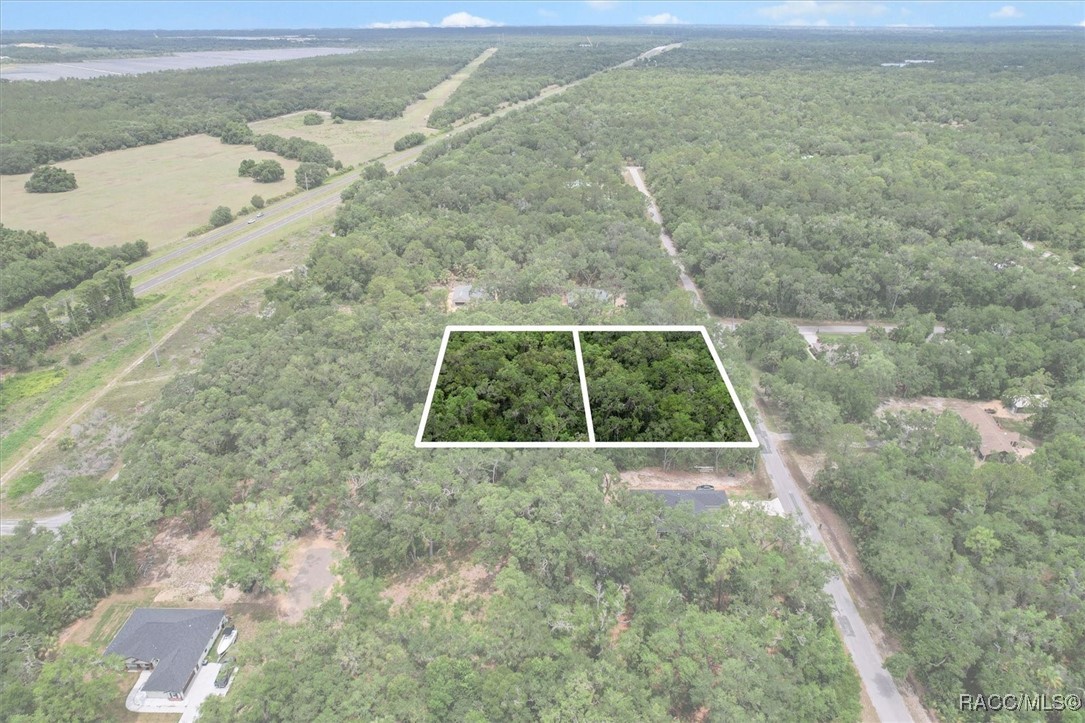 9073 N Alder Avenue, Crystal River, Florida image 2