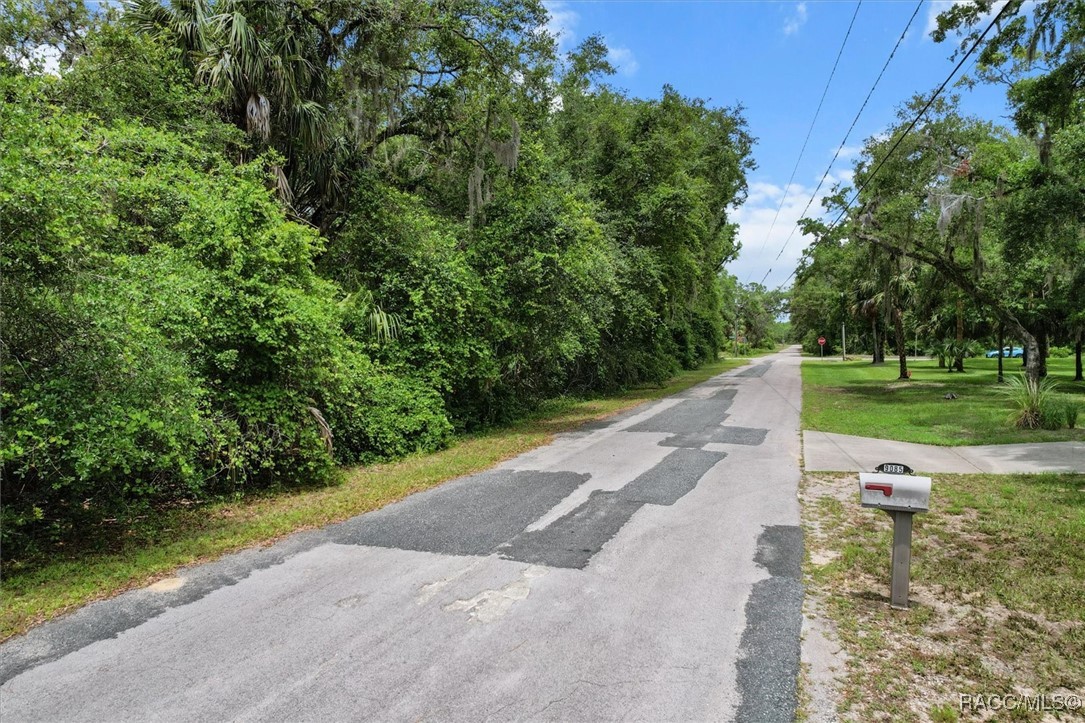 9073 N Alder Avenue, Crystal River, Florida image 3