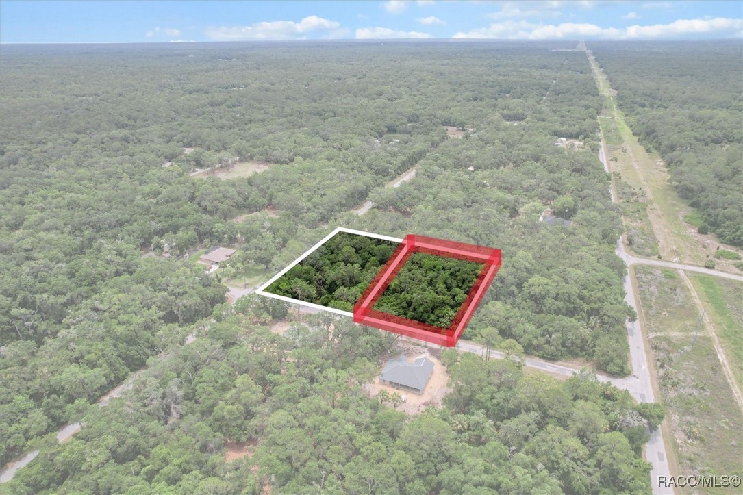 9073 N Alder Avenue, Crystal River, Florida image 1