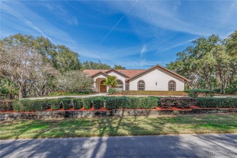 115 E Ireland Court Hernando FL 34442