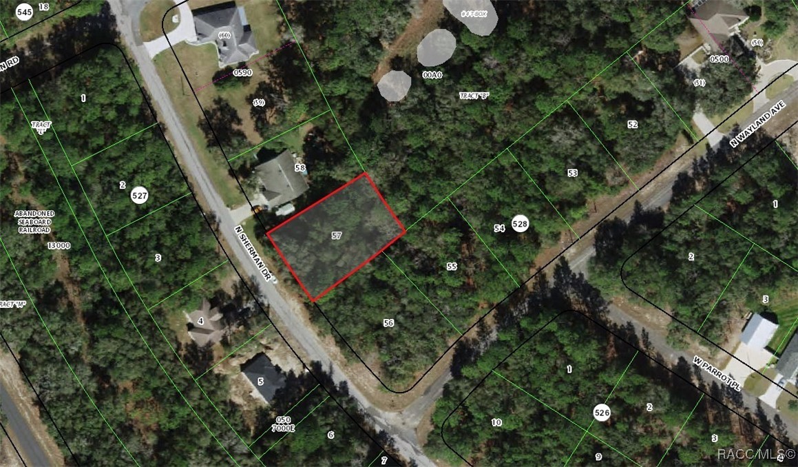 9449 N Sherman Drive, Citrus Springs, Florida image 5