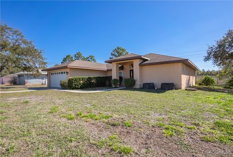 1805 S Overview Drive, Lecanto, FL 34461 - MLS#: 842664