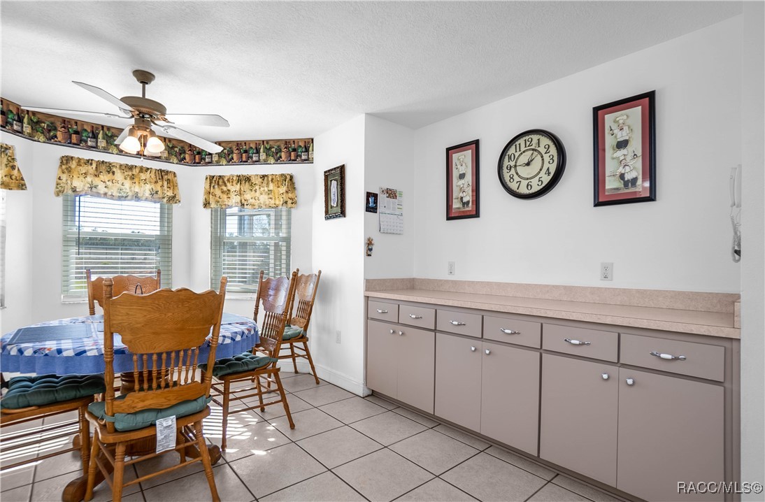1805 S Overview Drive, Lecanto, Florida image 10