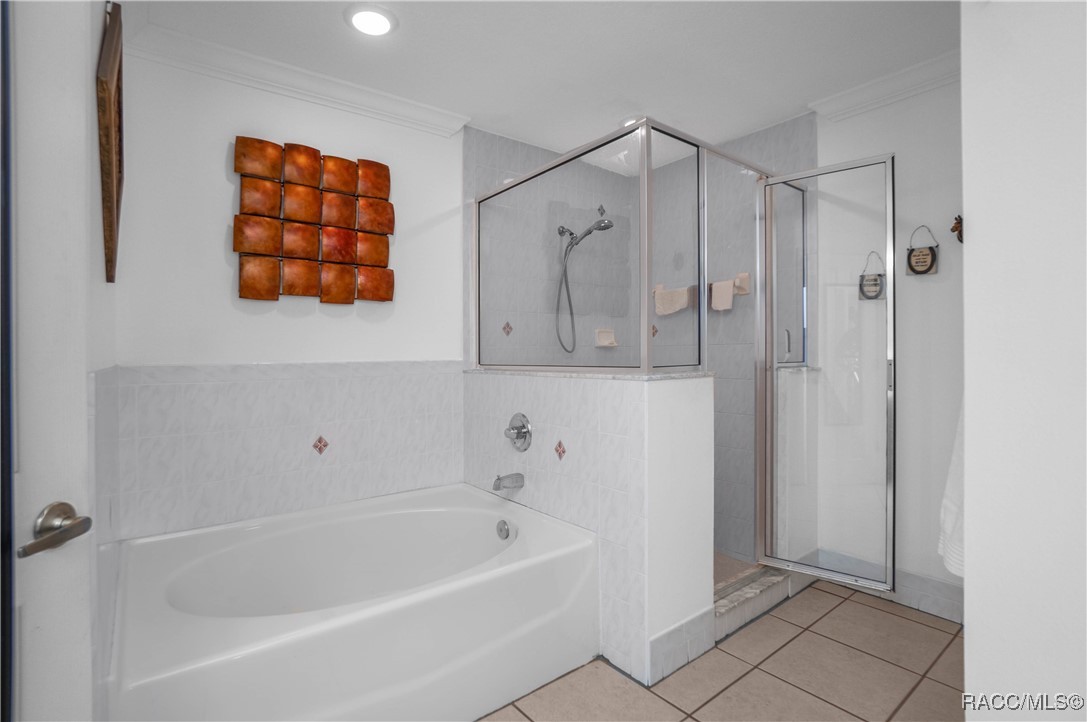1805 S Overview Drive, Lecanto, Florida image 19