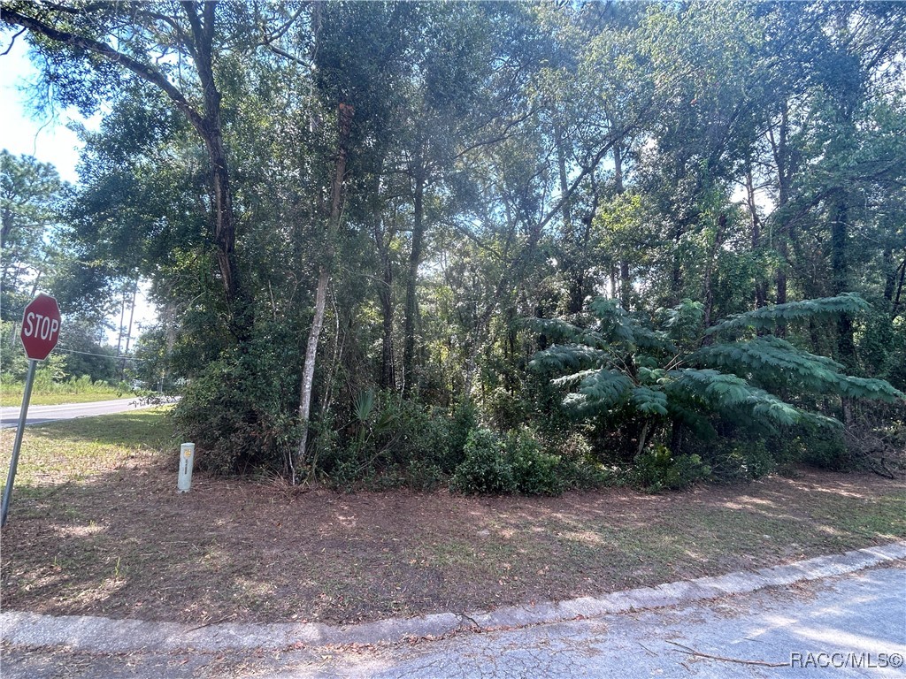 6550 E Gurley Street, Inverness, Florida image 2