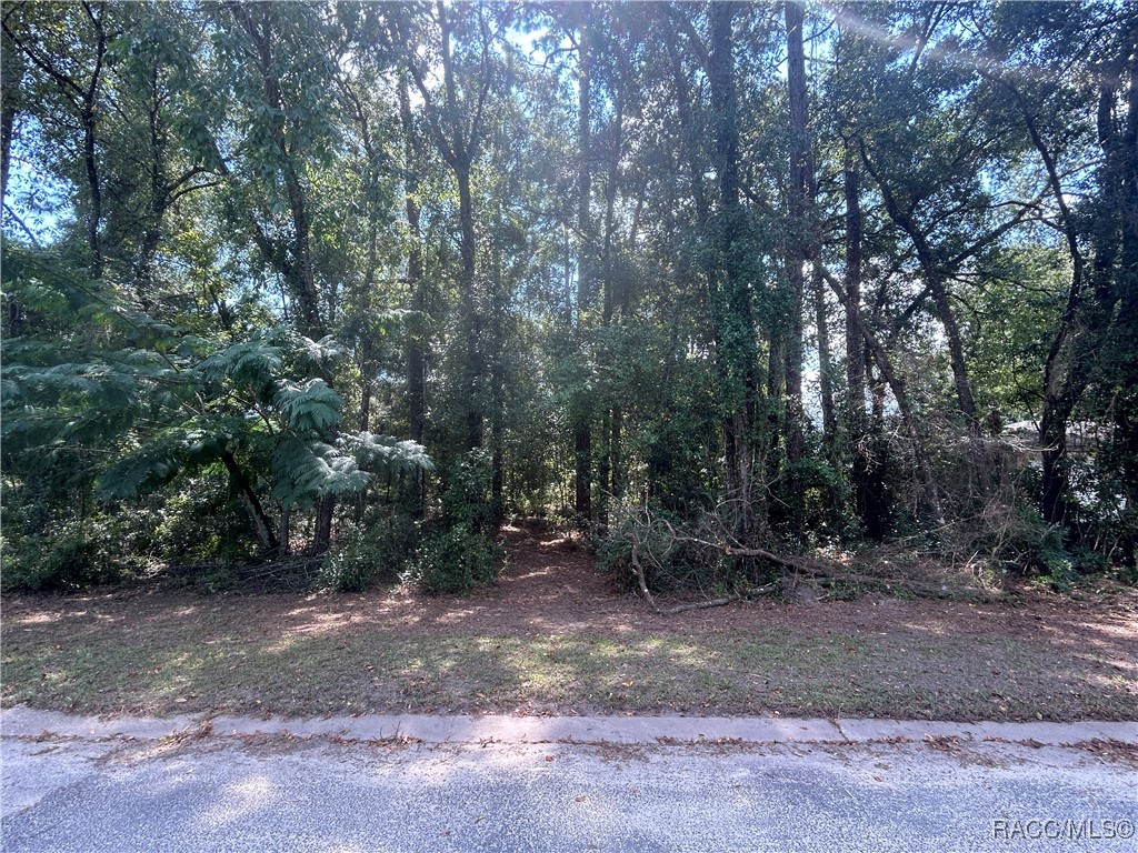 6550 E Gurley Street, Inverness, Florida image 1