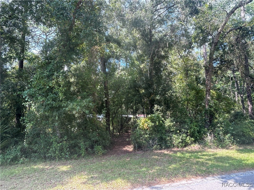 6550 E Gurley Street, Inverness, Florida image 3